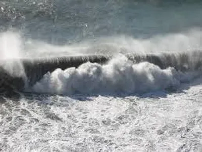 Illustration roller - Image 4