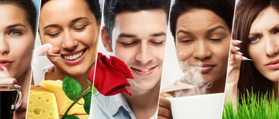 Illustration or - Image 1