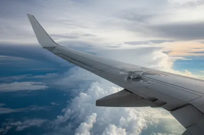 Illustration plates - Image 1