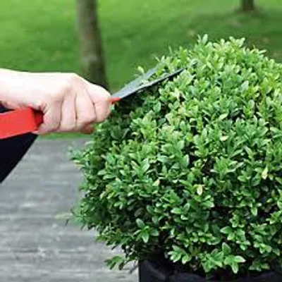 Illustration box - Image 2