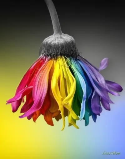 Illustration deaden - Image 1