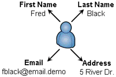 Illustration attribute - Image 5