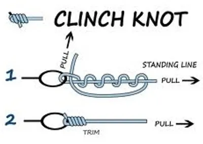 Illustration clinch - Image 3