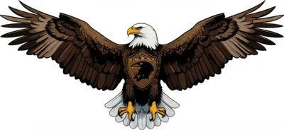 Illustration crow - Image 1