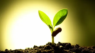 Illustration engender - Image 1