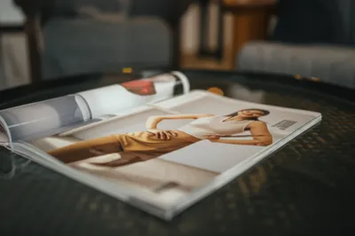 Illustration centerfold - Image 1