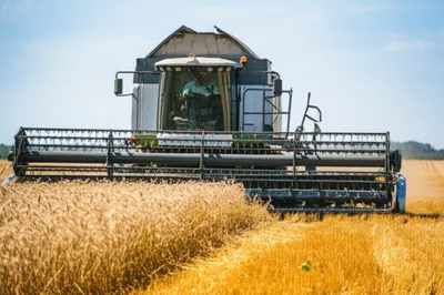 Illustration header - Image 1