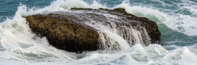 Illustration awash - Image 1