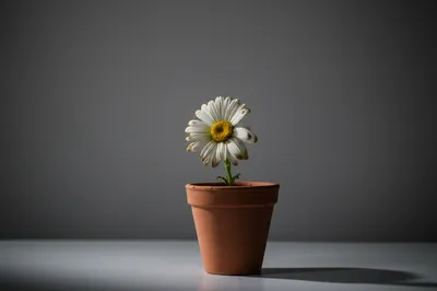 Illustration lackluster - Image 1