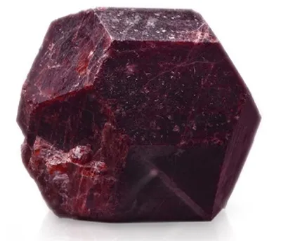 Illustration garnet - Image 2