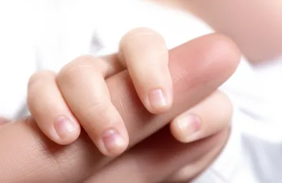 Illustration latched - Image 1