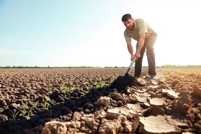 Illustration battling - Image 1