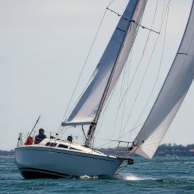 Illustration jib - Image 1