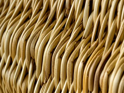 Illustration basketwork