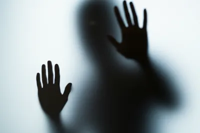 Illustration opaque - Image 1