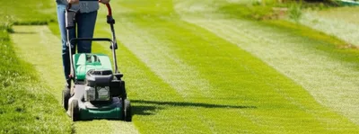 Illustration mow - Image 1