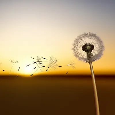 Illustration wend - Image 1