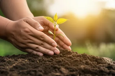 Illustration doing - Image 1