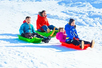 Illustration coasters - Image 1