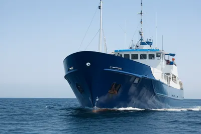 Illustration forepart - Image 1