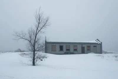 Illustration colds - Image 1