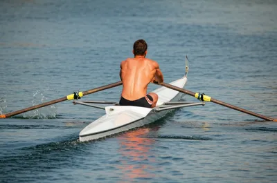 Illustration pulled - Image 1