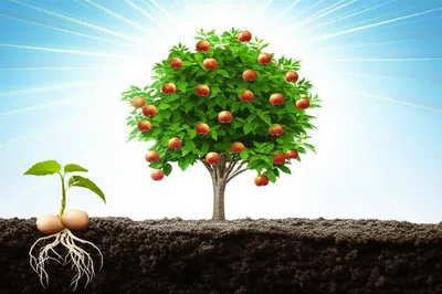 Illustration fulfilled