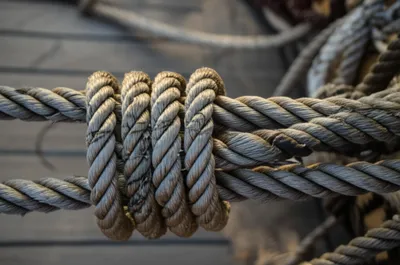 Illustration seizings - Image 1