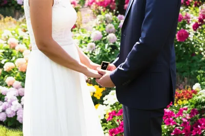 Illustration troth - Image 1