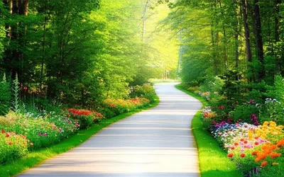 Illustration whiles - Image 1