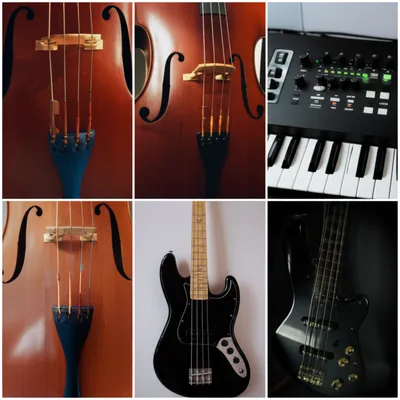 Illustration bases - Image 1