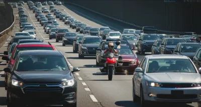 Illustration filtering - Image 1