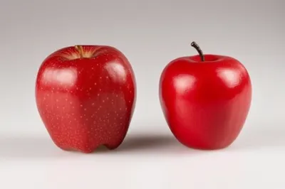 Illustration resembling - Image 1