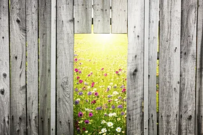 Illustration g8 - Image 1