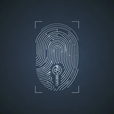 Illustration device - Image 1