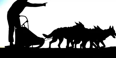 Illustration mush - Image 1