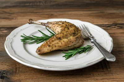 Illustration rabbit - Image 1