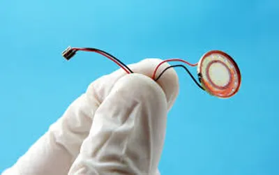 Illustration wire - Image 2