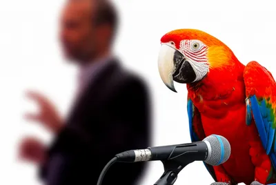 Illustration quoted - Image 1