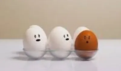 Illustration irregular - Image 5