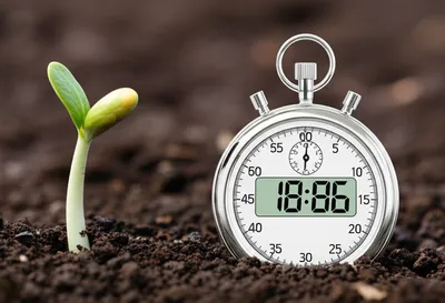 Illustration clocking - Image 1