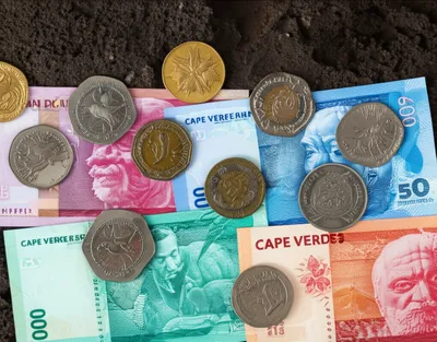 Illustration escudos - Image 1