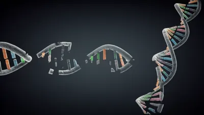 Illustration nonsense - Image 1