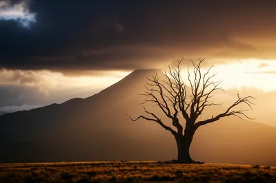 Illustration brilliant - Image 1