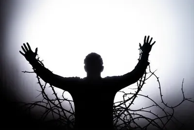 Illustration thrown - Image 1