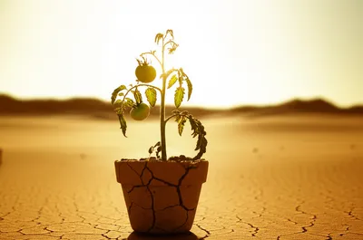 Illustration bam - Image 1