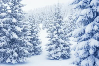 Illustration snows - Image 1