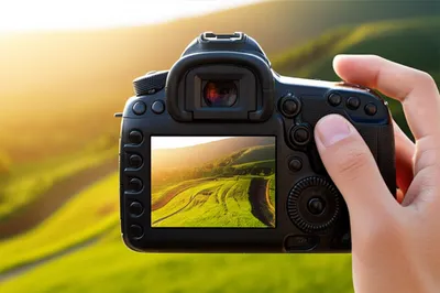 Illustration take - Image 1