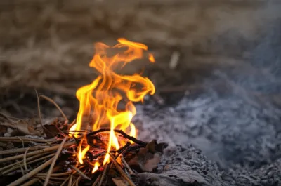 Illustration sparked - Image 1