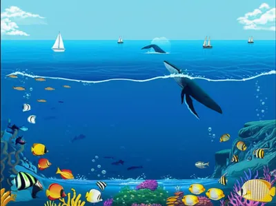 Illustration marine - Image 1